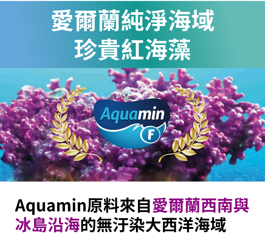 第三代高登鈣愛爾蘭海藻鈣 吸收率高 快速長高

