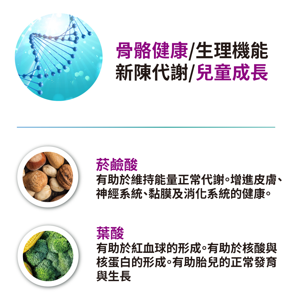 S美人高登鈣含有葉酸、菸鹼酸及綜合維生素礦物質
