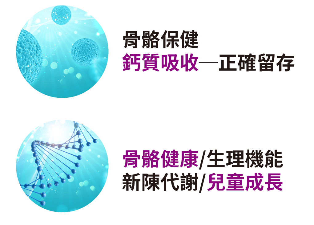 骨膠原蛋白相當於鋼筋水泥中的鋼筋，是人體的重要結構蛋白質
